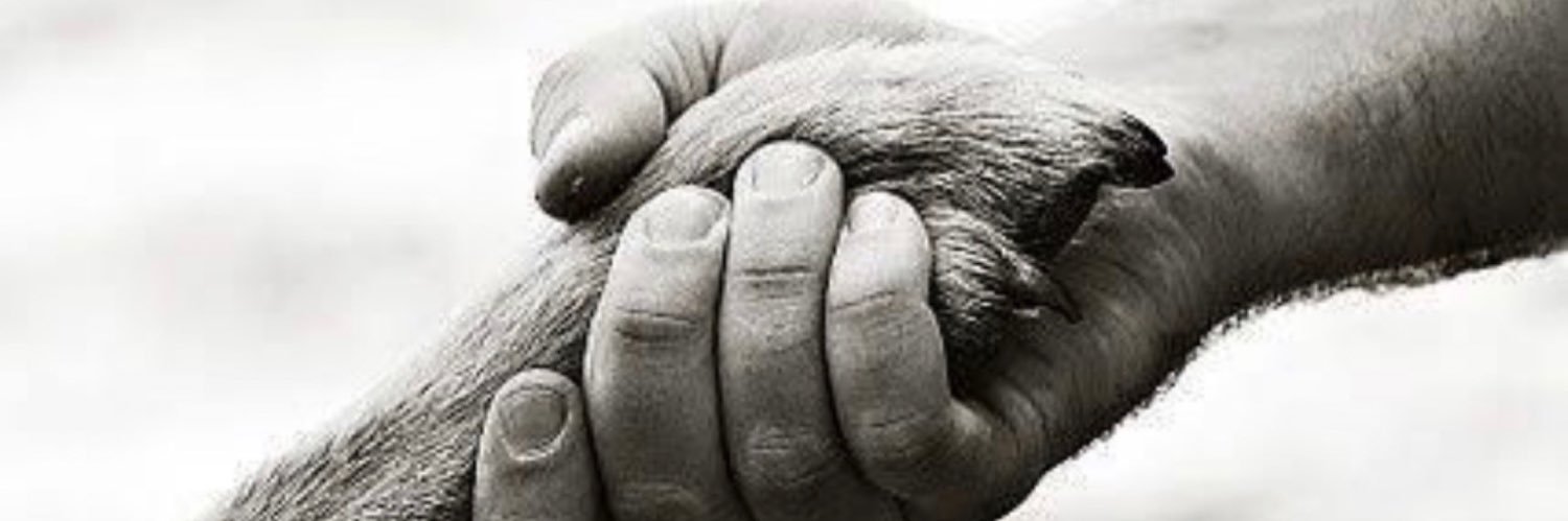 nikkiham01's profile banner image