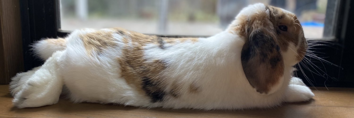 joychan8's profile banner image