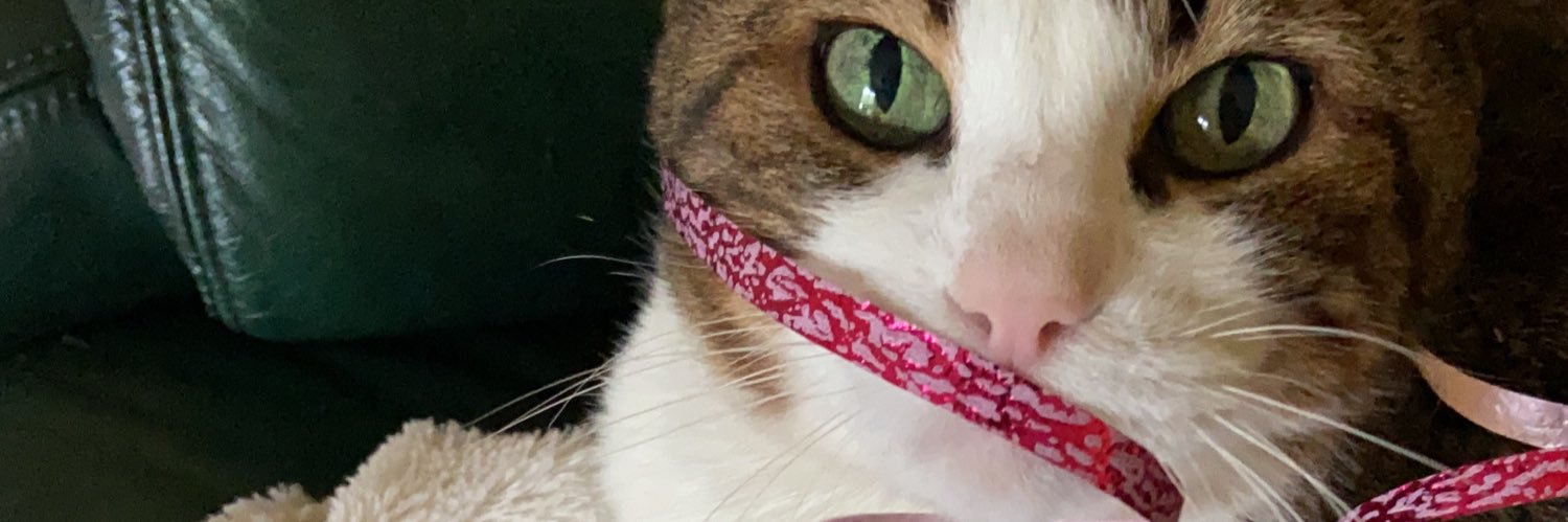 Charliechat 😻🌺🌼 #TAEM banner