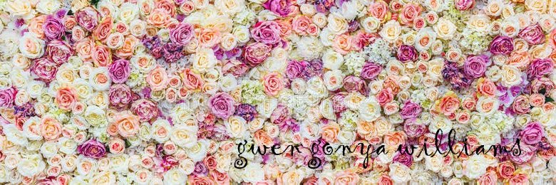 GwenMissFit's profile banner image