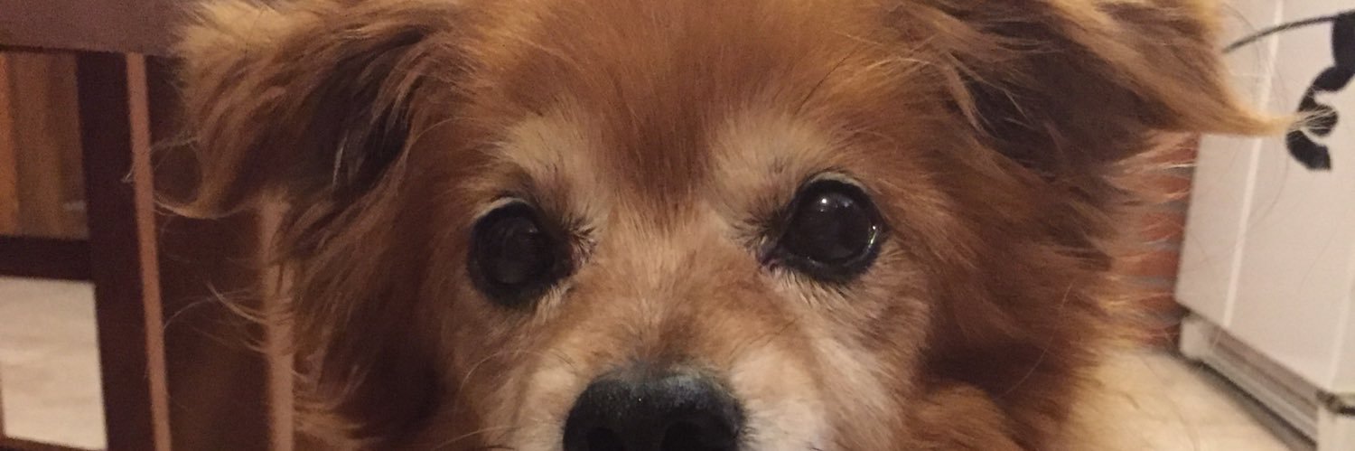 Marylenee_'s profile banner image
