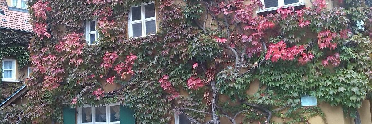MKAML7's profile banner image