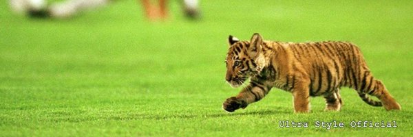 _FachriMochamad's profile banner image