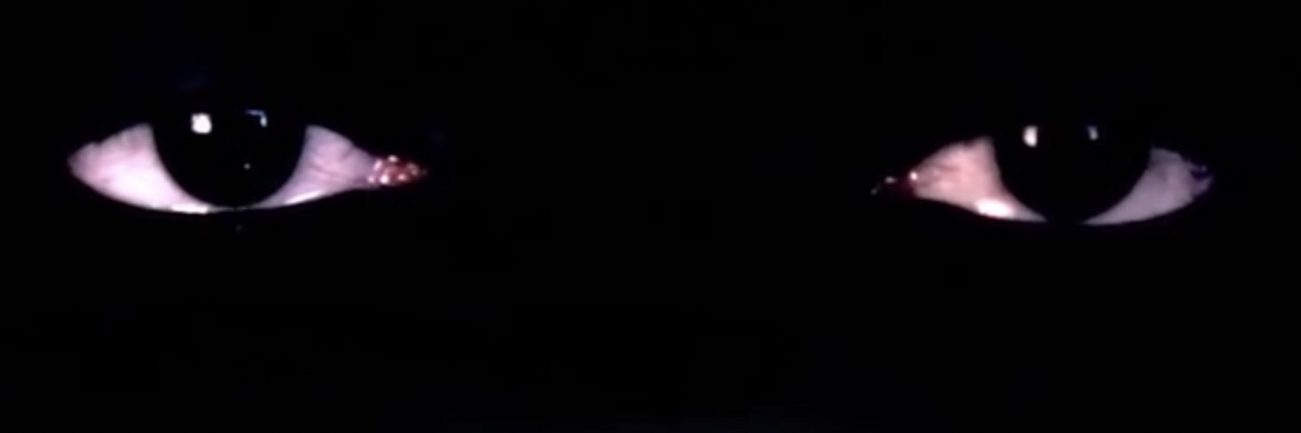 rivkyr's profile banner image