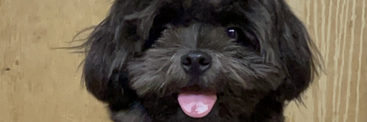 icangsho's profile banner image