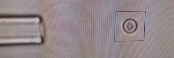 jespadas91 Profile Banner