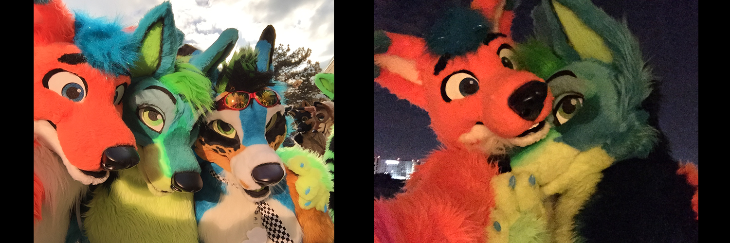 Avi Fox🍊🦊's banner