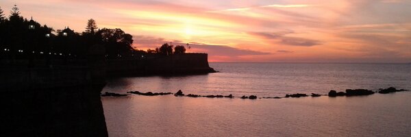 antnuto20 Profile Banner