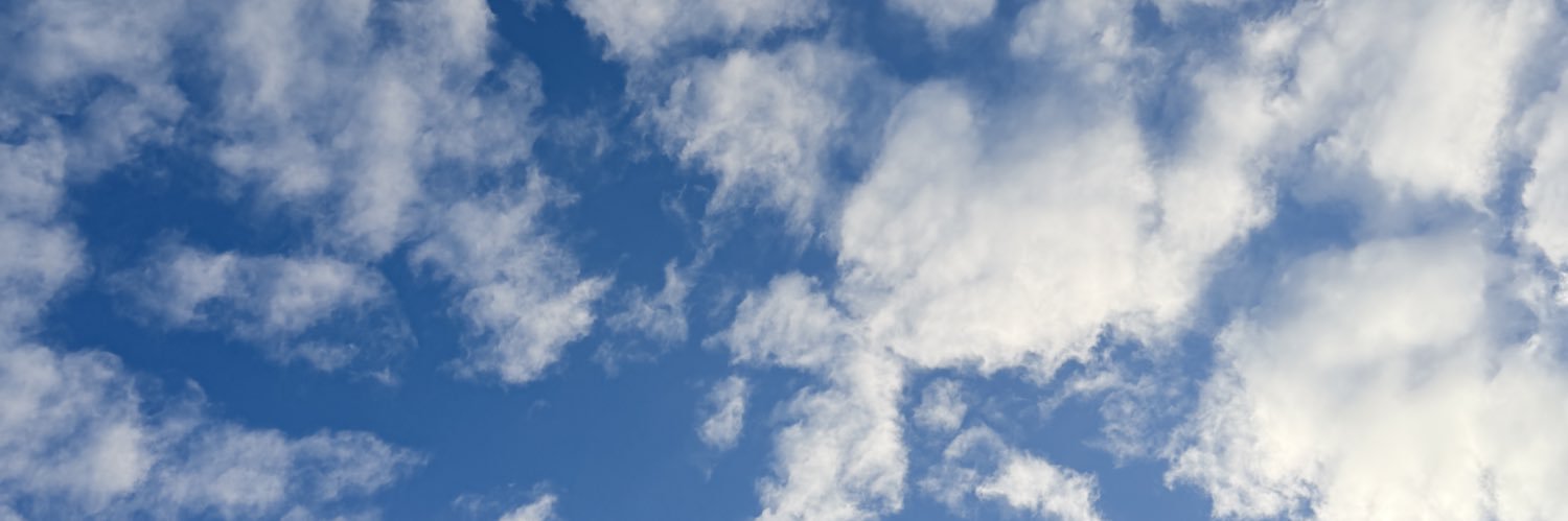 Sofía🦋 banner