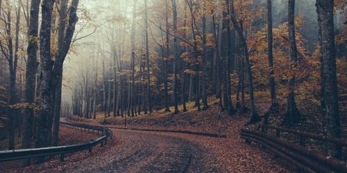 Bavesh Janavlekar banner