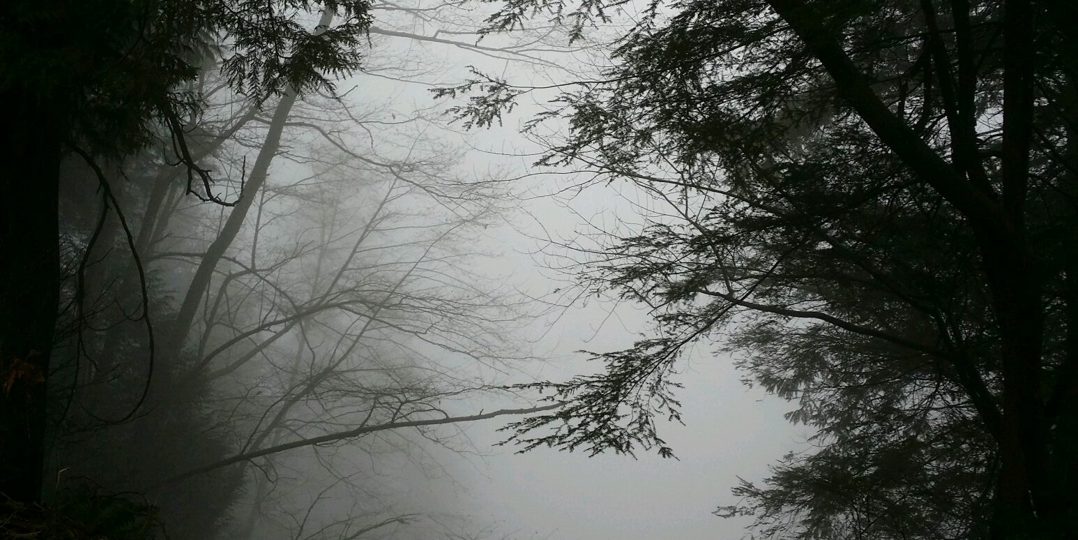 nightstalker00's profile banner image