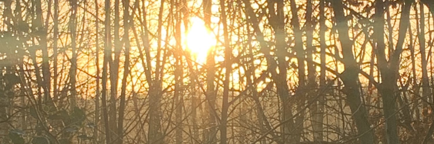 BakkerBas01's profile banner image