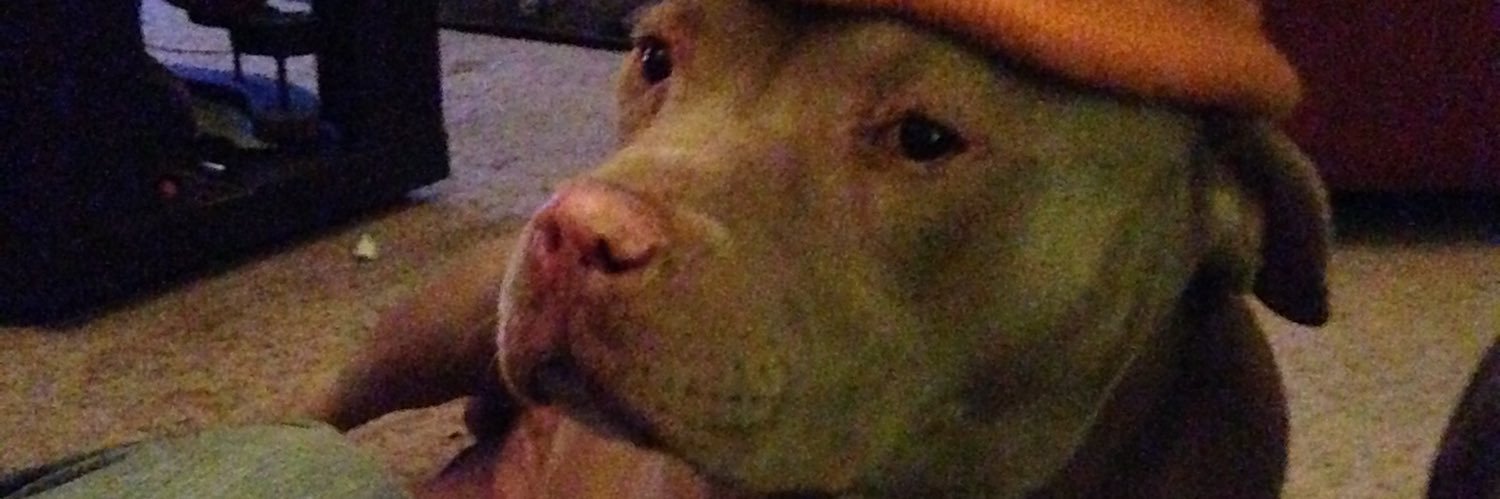 Ricky_Rosay_'s profile banner image