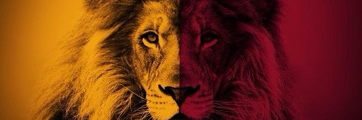 Erdener53's profile banner image