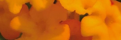 AlmeidaPicu's profile banner image