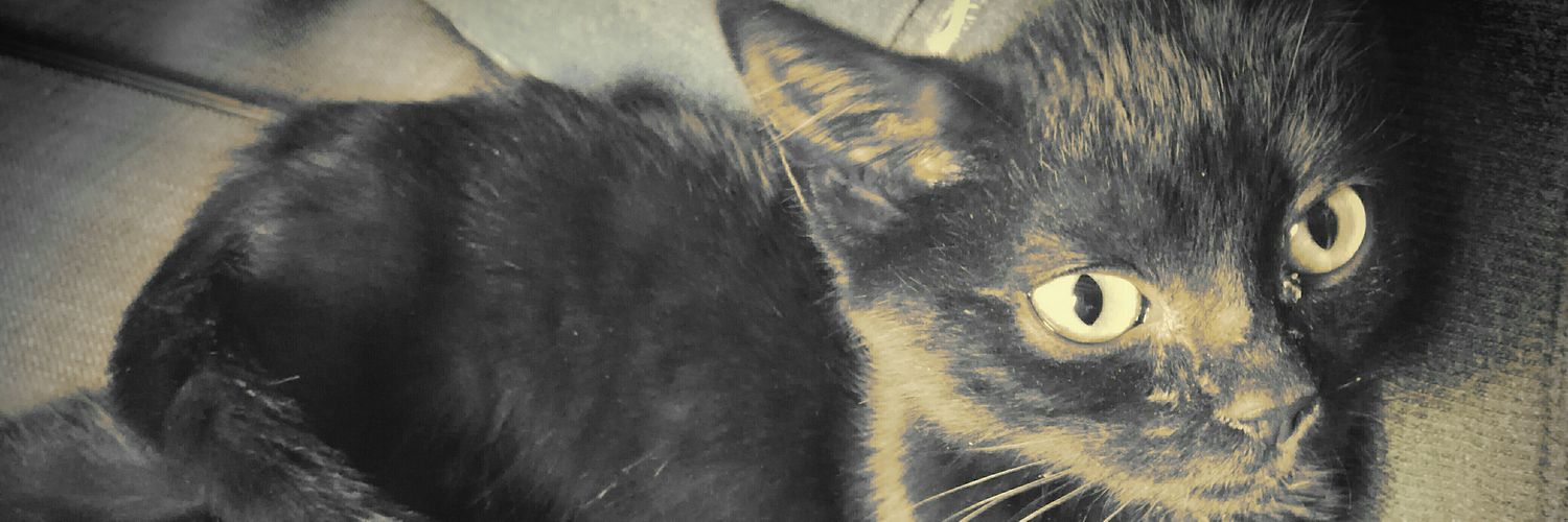 MathildeWilhelm's profile banner image