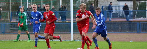 BirkRisa Profile Banner