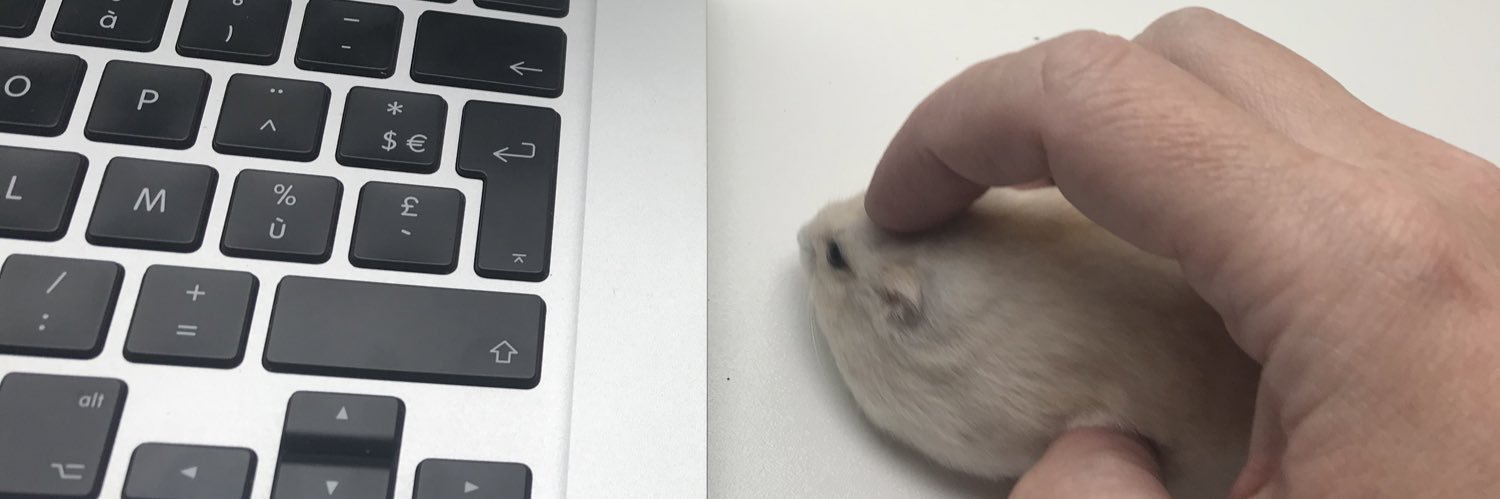 nobodyelske's profile banner image