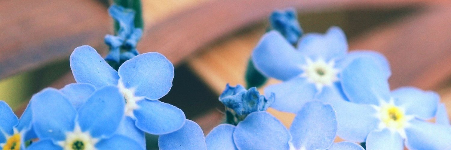 tiapurwa's profile banner image