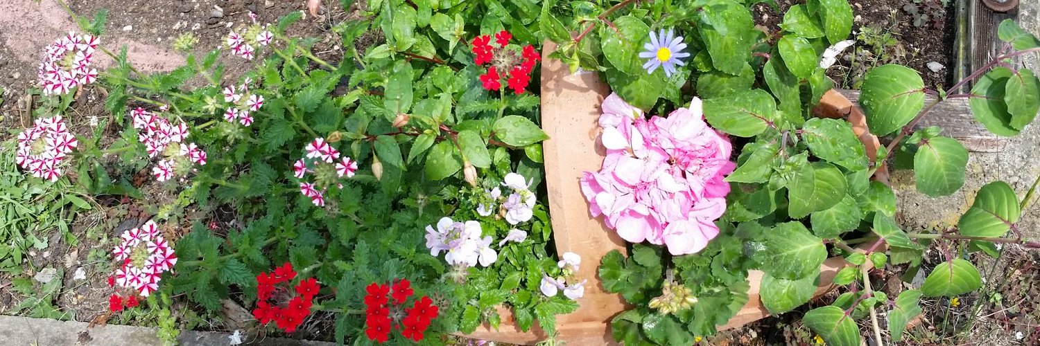 Ruthy75's profile banner image
