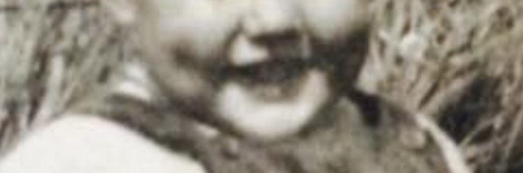 Stephen Vaughan banner