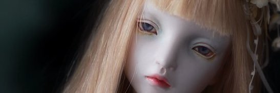 venico11's profile banner image