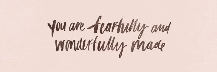 kaitlin_dierk's profile banner image