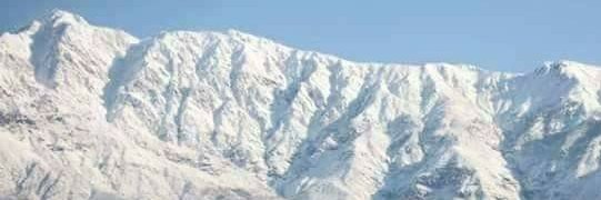 ڈاکٹر سلیم ترکلانی banner