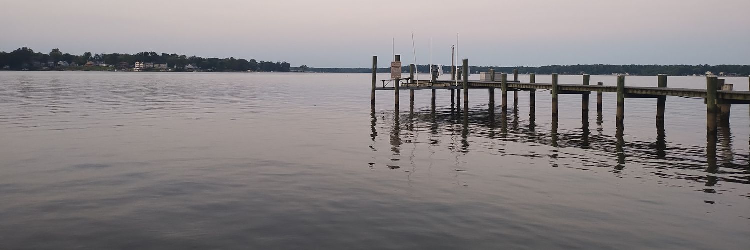 celliottmpa's profile banner image