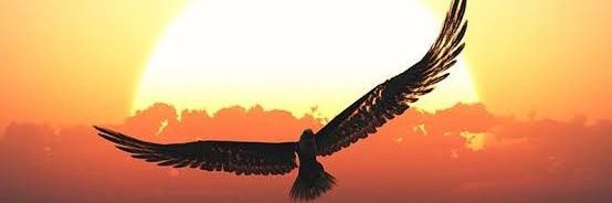 Rocket_Rajesh's profile banner image