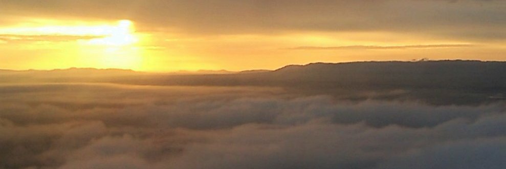 Miss Understood banner