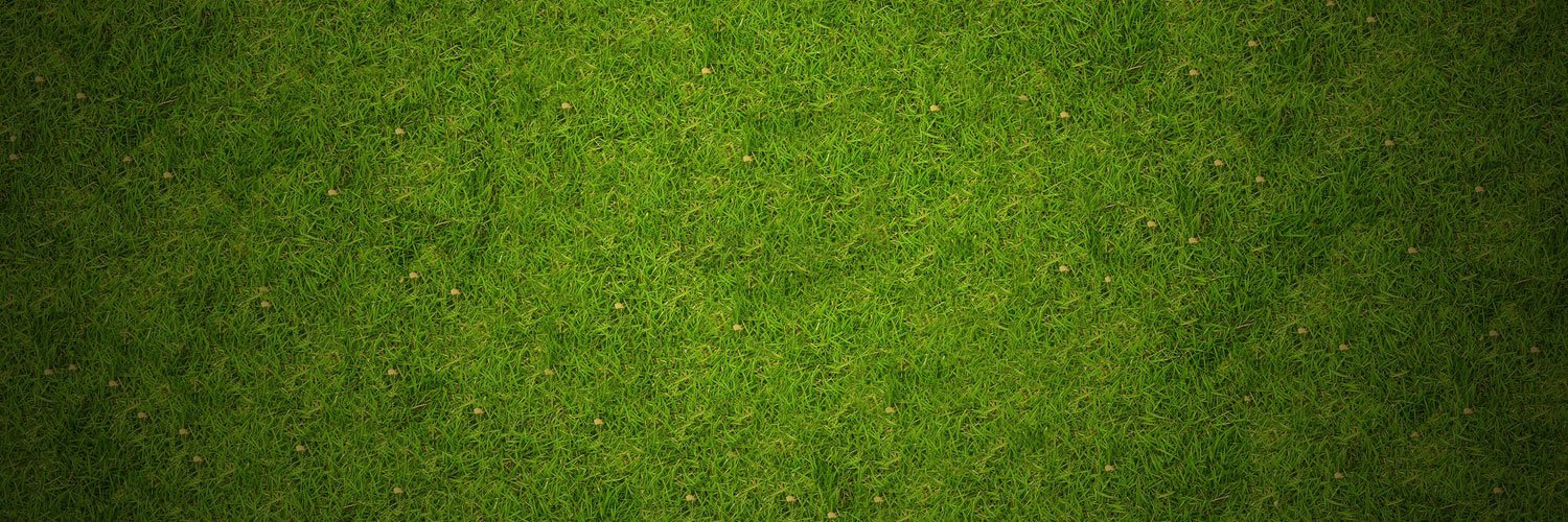 Christophe Coussit banner