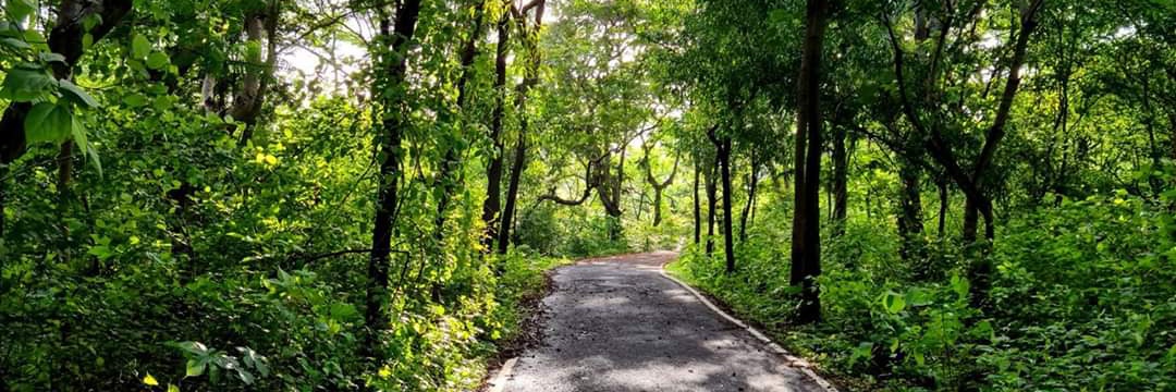 Ketan Nardhani banner