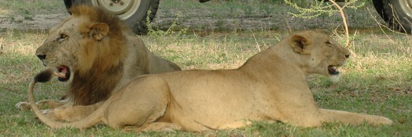 3ashou Profile Banner