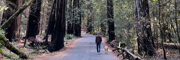 Neurotic Profile Banner