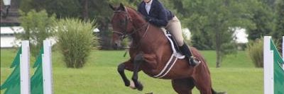 Racebrook Stables banner