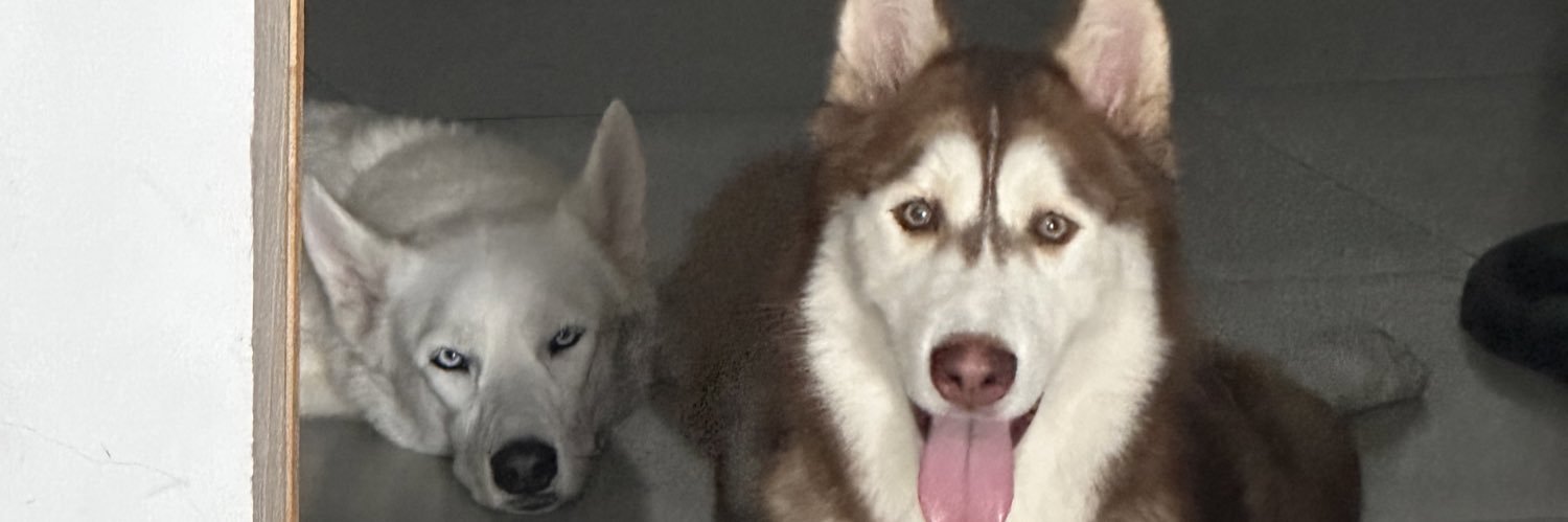 VictorSilvera2's profile banner image