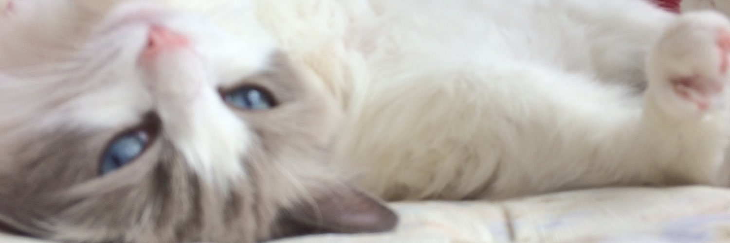 khtp14's profile banner image