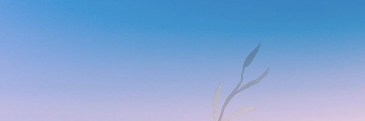 saran_zedan's profile banner image