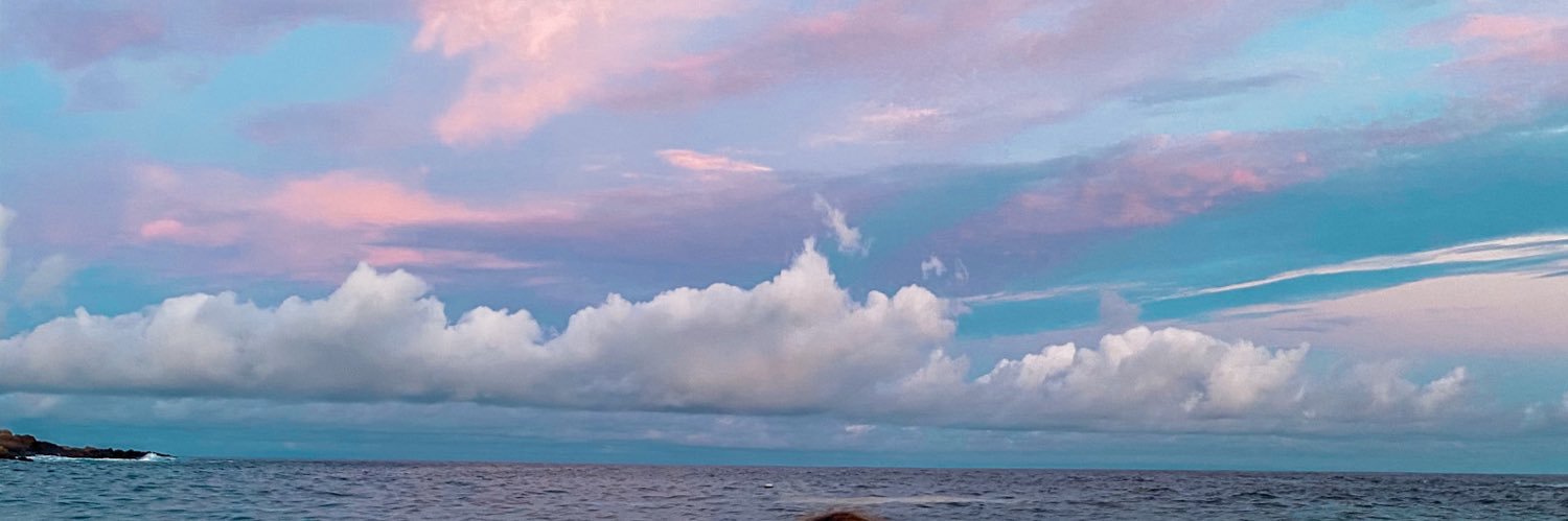 anamelbu's profile banner image