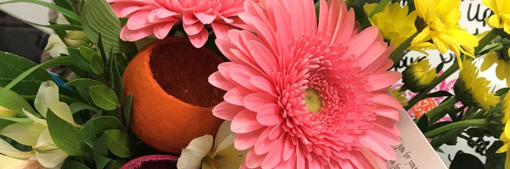 MadisonMcKinle3's profile banner image
