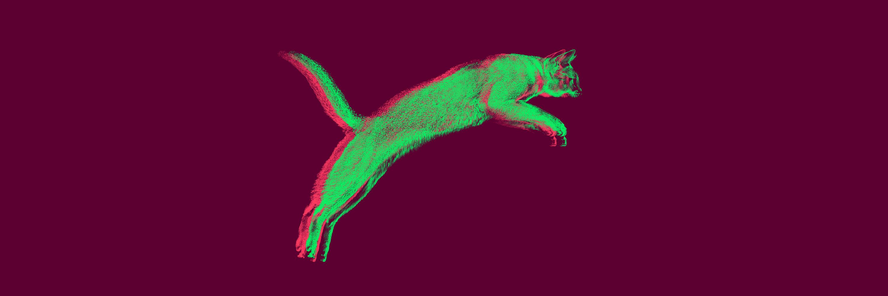 AttrapTemps's profile banner image