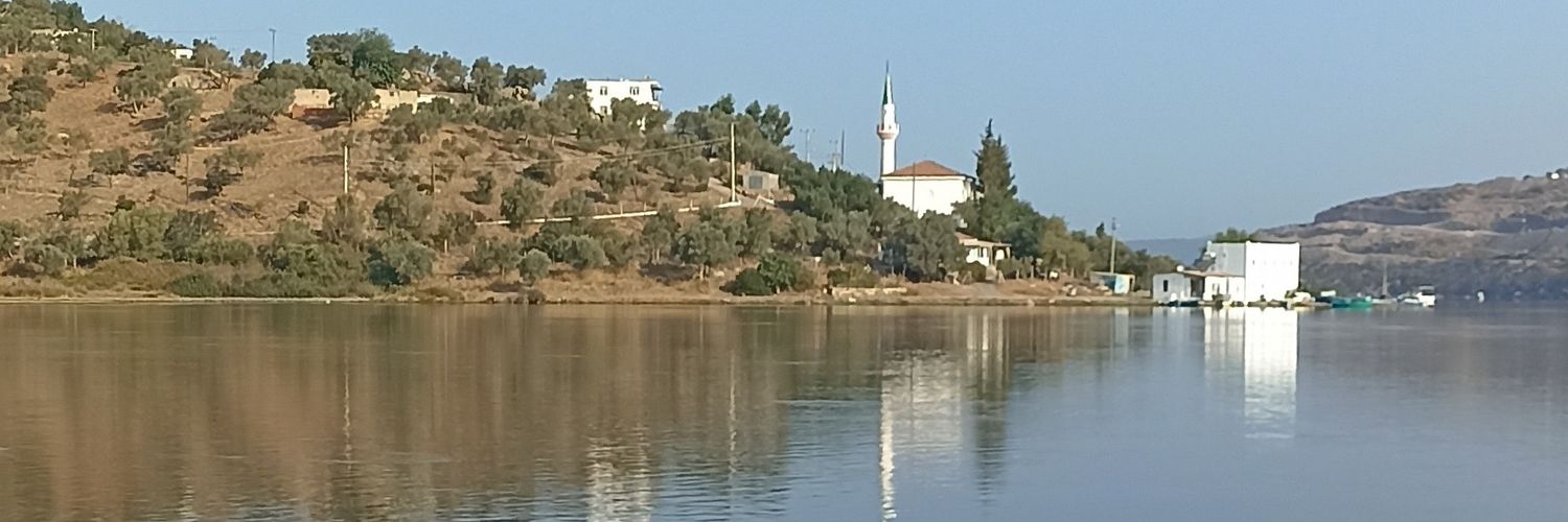 Can Deliormanlı banner
