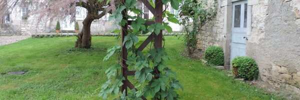 fayettesorcier Profile Banner