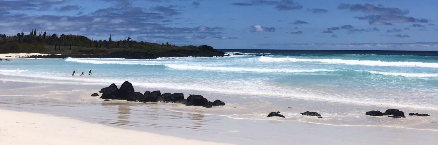 Fiona_Mulhern's profile banner image