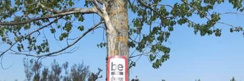 Stephanie Lynch banner