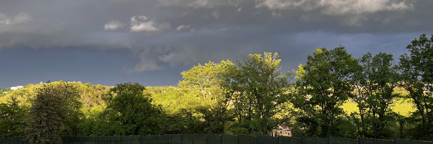 Pascale Mocaër banner