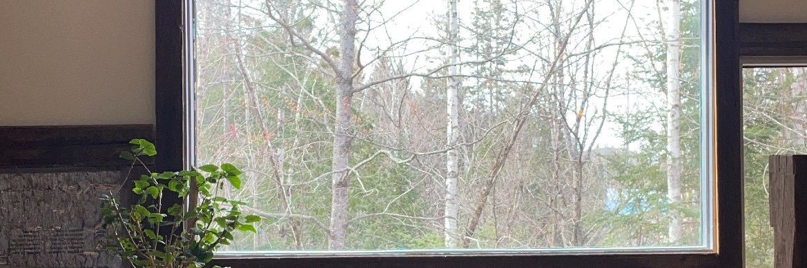 liltacokitty's profile banner image