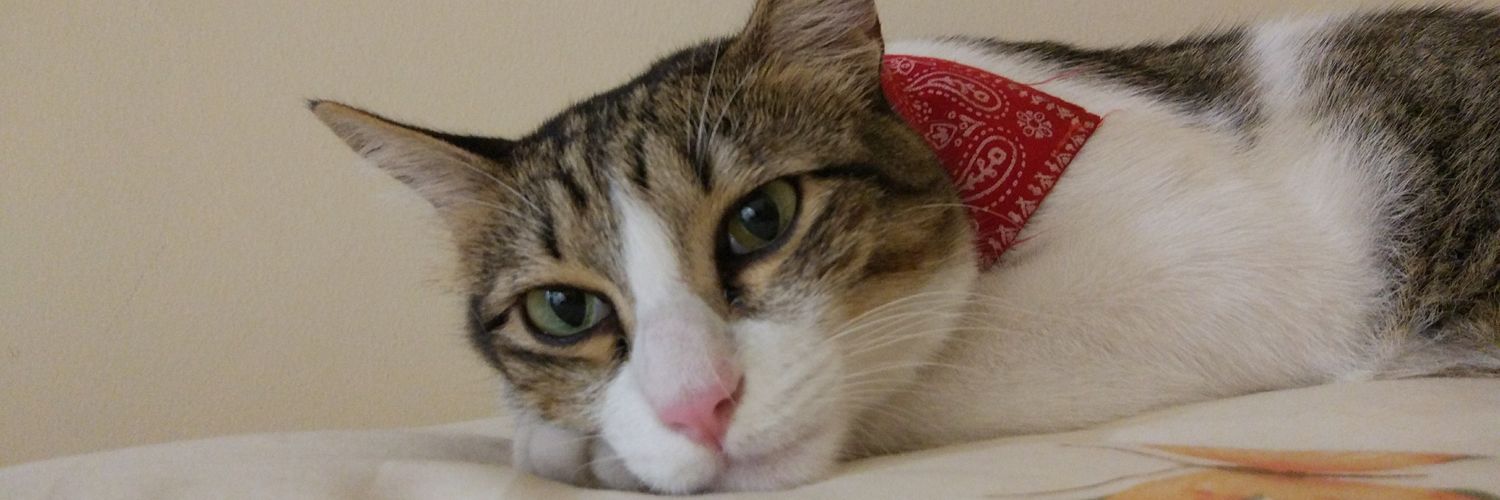 weeeeens's profile banner image