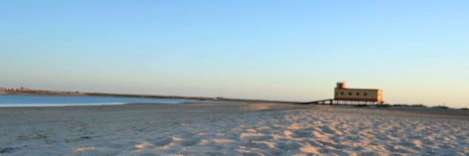 chegaaioqueijo's profile banner image